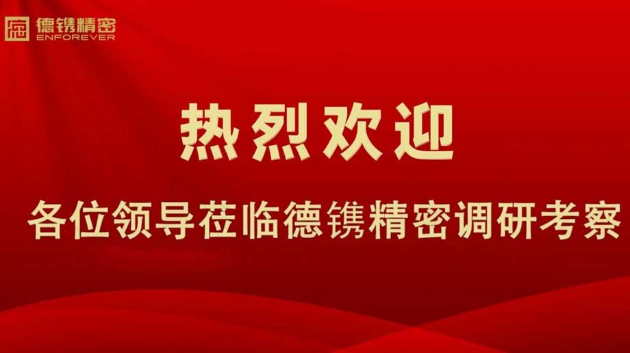 山西省永濟(jì)市市委書記何偉率隊到德鐫調(diào)研考察